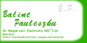 balint pauleszku business card